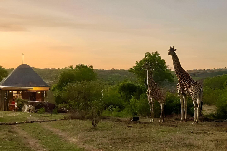 8days Serengeti np,ngorongoro conservation area,tarangaire Serengeti np,ngorongoro conservation area and tarangaire np