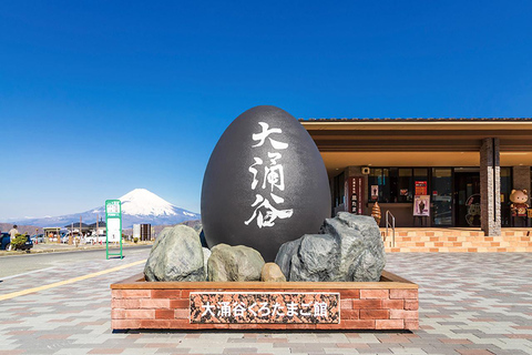 Mt.Fuji:Hakone Cruise, Ropeway&Oshino Hakkai Full-day Tour 8:30 AM pick up at Shinjuku station