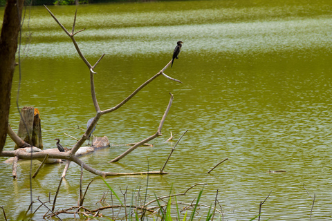 Duluti-See: Kanufahren, Naturwanderung und ExtraKajakfahren, Spaziergang in der Natur und Töpferkurs
