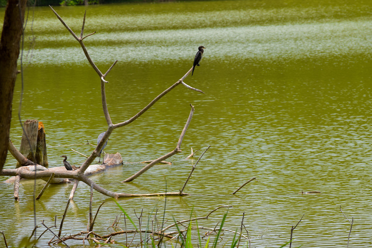 Duluti-See: Kanufahren, Naturwanderung und ExtraKajakfahren, Spaziergang in der Natur und Töpferkurs