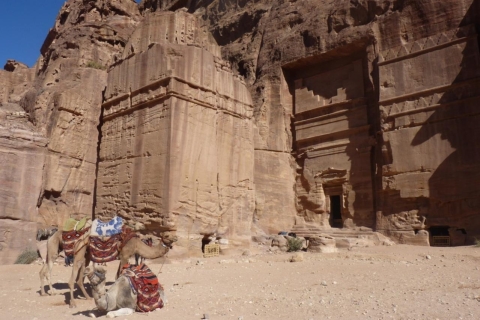 Amman: 1-dniowa wycieczka Petra & Wadi Rum z przewodnikiem i transferem