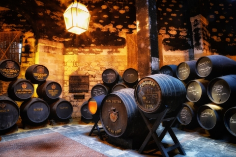 Jerez : Visite guidée des Bodegas Fundador avec dégustationVisite avec dégustation de 3 vins de Xérès et d'un brandy