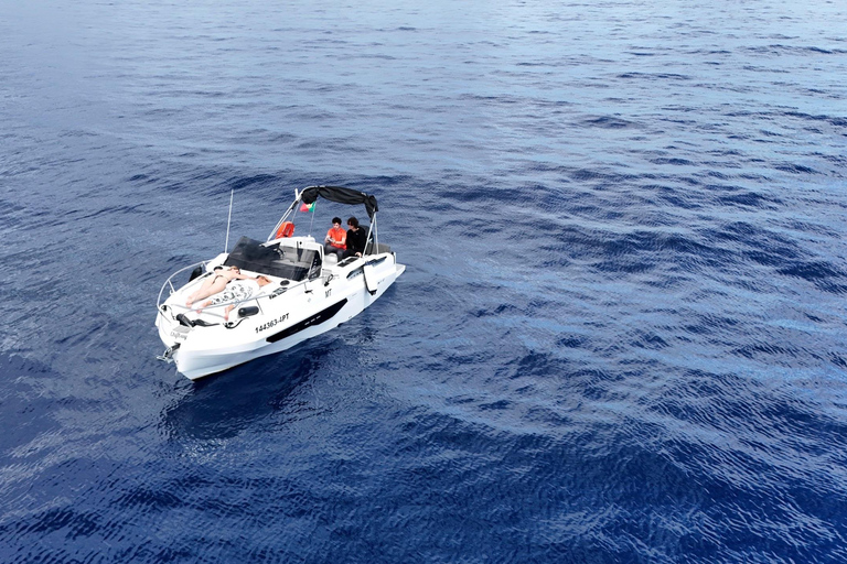 Private Madeira Coast Cruise with Swim, Snacks & Drinks