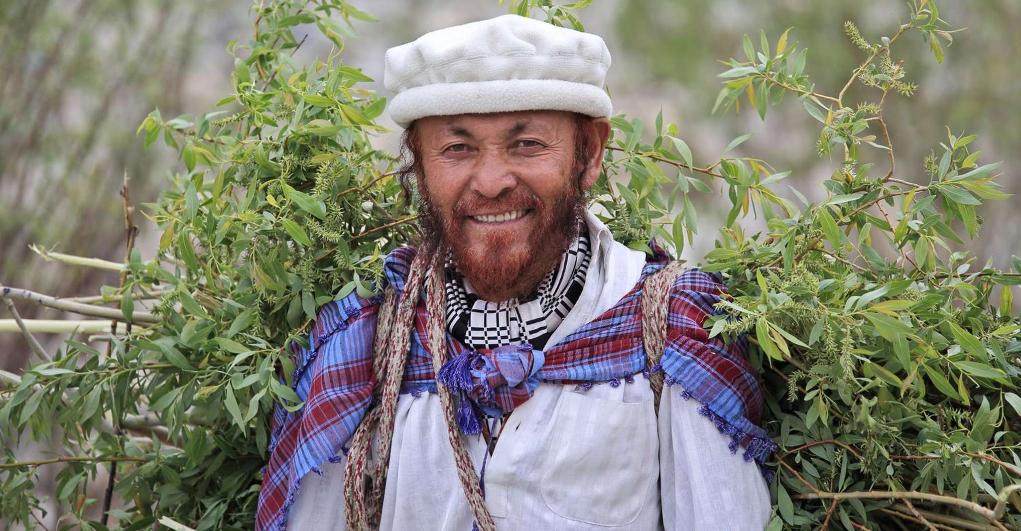 Exploring the Apricot Blossoms of Ladakh - Housity