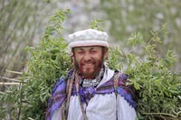 Explorer les fleurs d'abricot du Ladakh - Housity