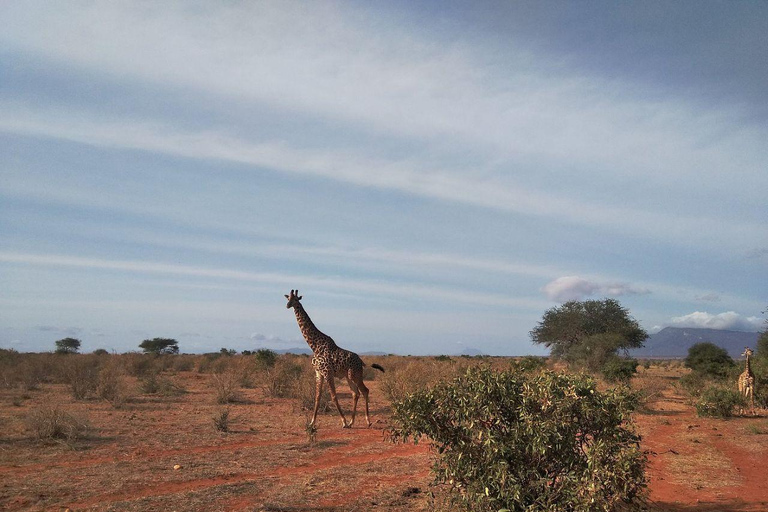 Mombasa/Diani: 2-Day Tsavo East Safari with Meals Private day tour to Tsavo East National Park - VAN