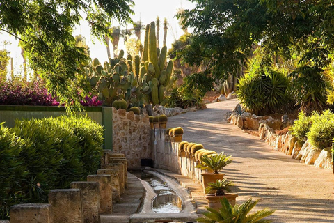 Mallorca: Botanicactus at the Botanical Garden in Ses Salines Mallorca: From Botanicactus to the Botanical Garden at Ses Salines