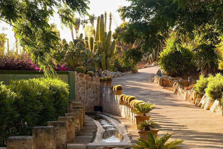 Mallorca: Botanicactus at the Botanical Garden in Ses Salines Mallorca: From Botanicactus to the Botanical Garden at Ses Salines
