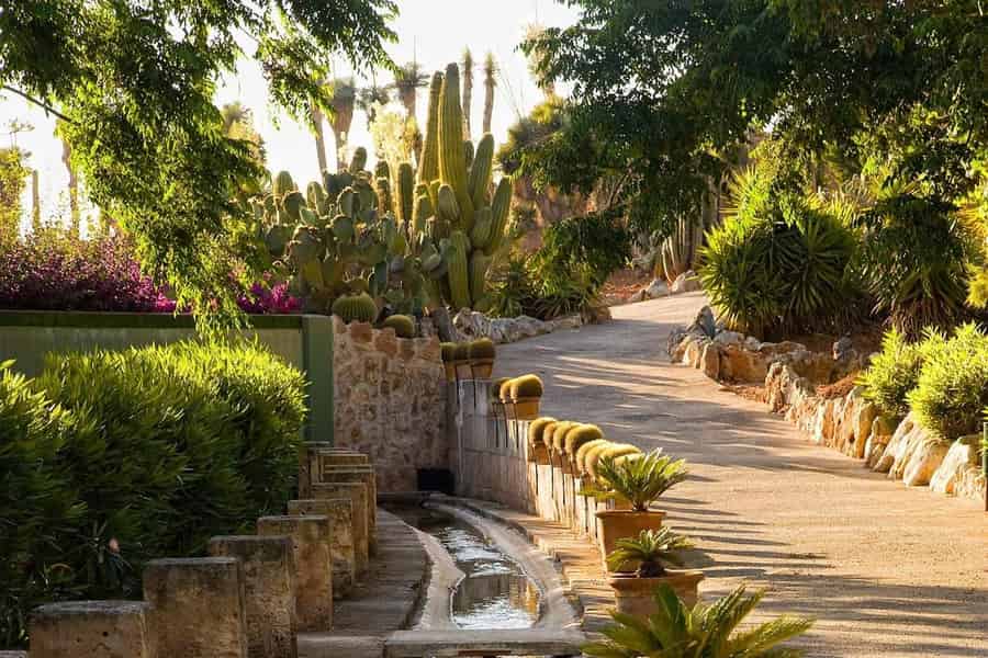 Mallorca: Botanicactus, ein botanischer Garten in Ses Salines. Foto: GetYourGuide Mallorca: Botanicactus, ein botanischer Garten in Ses Salines. Foto: GetYourGuide