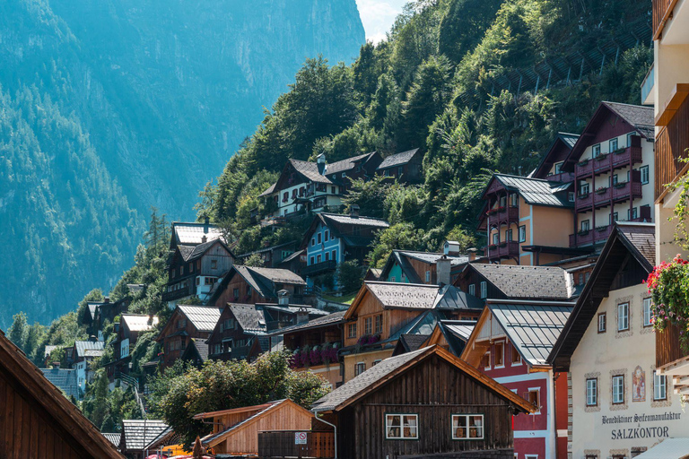 From Vienna: Hallstatt and Treetop Path Private Day Trip