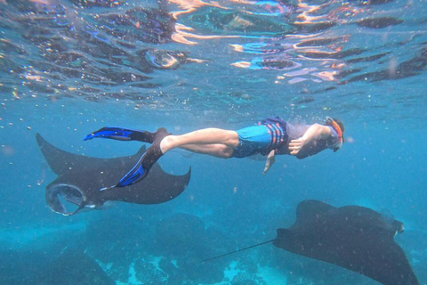 Bali: Nusa Penida Snorkeling and Island Tour with Lunch