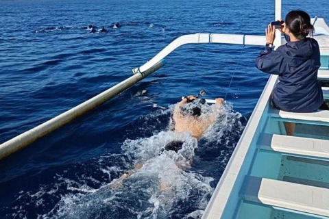 Bali : Observation des dauphins au lever du soleil, baignade et plongée en apnéeTour en bateau privé avec lieu de rendez-vous