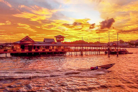 Bandar Seri Begawan: Brunei River Safari with Hotel Pickup
