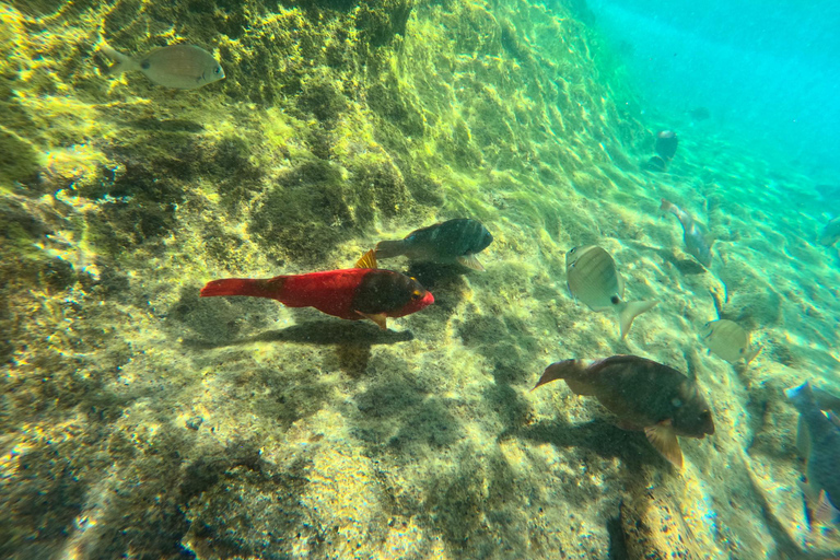 Vila Franca Islet: Snorkeling Inside the Crater