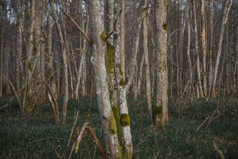 Sigulda: Walk in Gauja National Park with Photoghrapher 1-3 person private tour