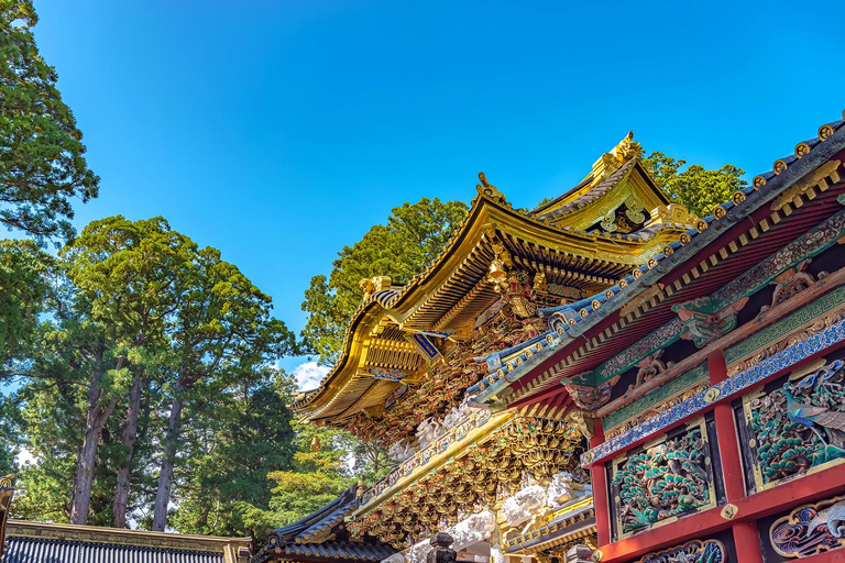 From Tokyo: Nikko Toshogu Shrine and Lake Chuzenji Day Trip Private Sightseeing Tours