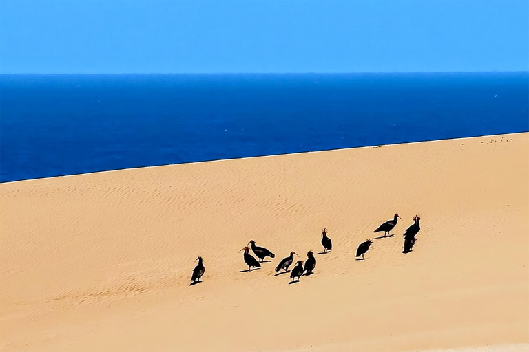 Agadir: Przygoda na pustyni na quadachAgadir: Wycieczka quadami po pustyni