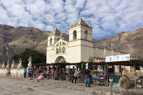 Reise zum Colca Canyon 2 Tage + Transfer nach Puno mit Mahlzeiten