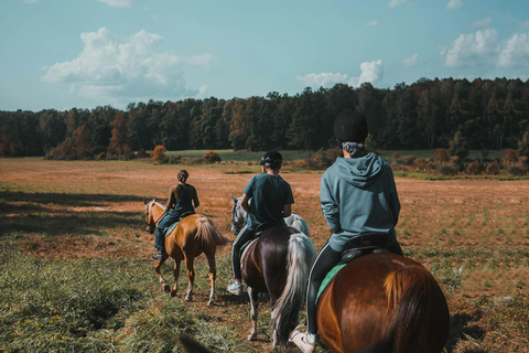 Dambulla: Scenic Countryside Horseback Ride 2-hour Dambulla: Scenic Countryside Horseback Ride