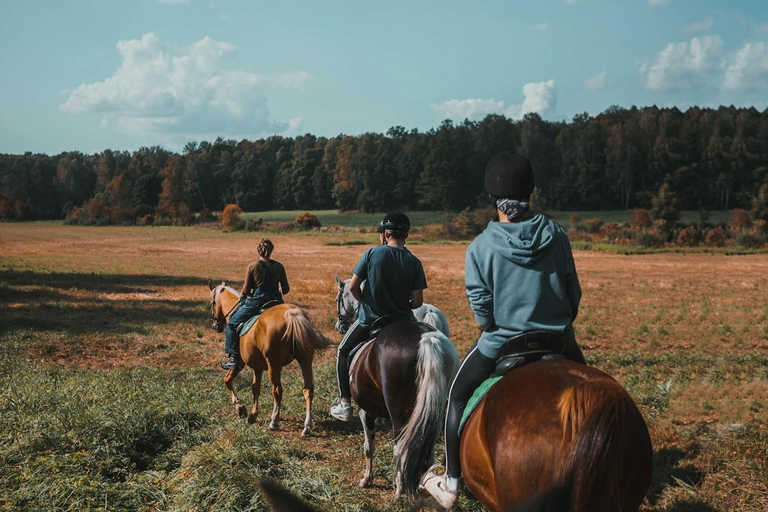 Dambulla: Scenic Countryside Horseback Ride 2-hour Dambulla: Scenic Countryside Horseback Ride