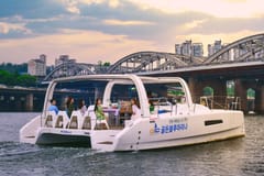 Seoul: Yacht-Tour auf dem Fluss Hangang zur Regenbogenbrücke