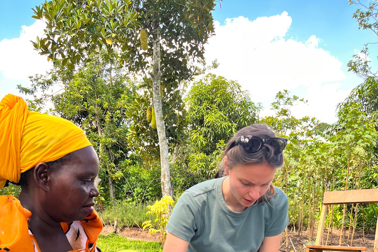 坎帕拉：埃瓦菲文化村一日游含午餐