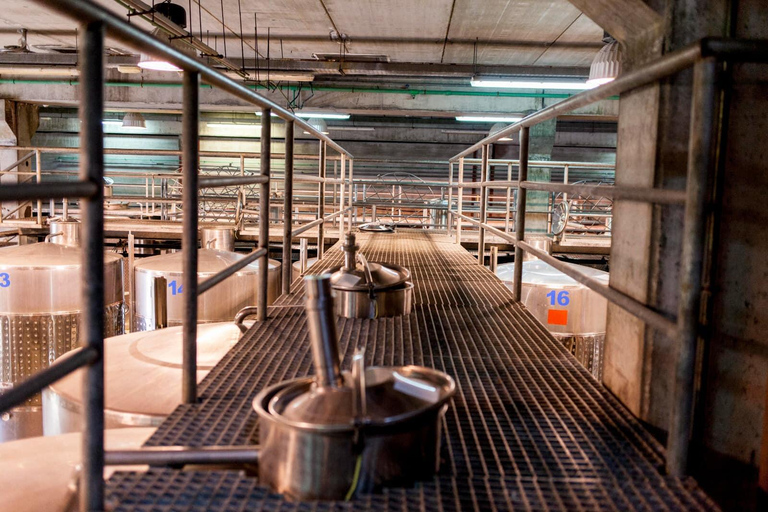 Valley of Tegueste: Wine Tour with Tasting at El Lomo Winery Tour and Tasting with 2 Wines in Spanish