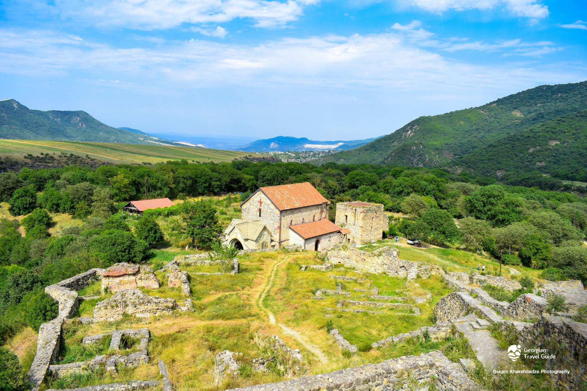 Von Tiflis: Tagestour zur archäologischen Stätte Dmanisi