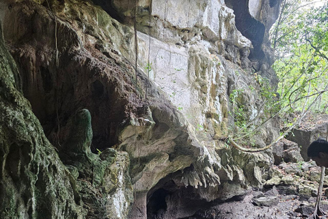 Langkawi: 3-Hour Shared Kilim Geoforest Mangrove Boat Tour