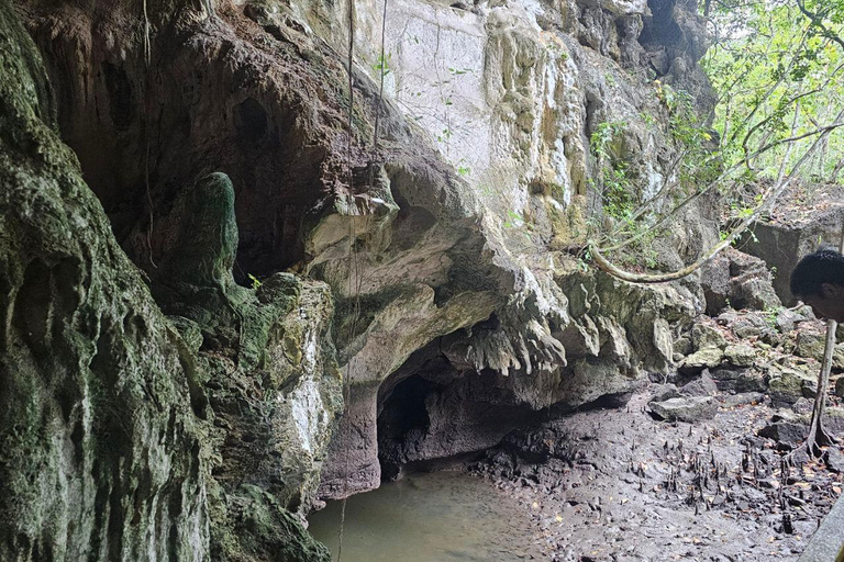 Langkawi: 3-Hour Shared Kilim Geoforest Mangrove Boat Tour