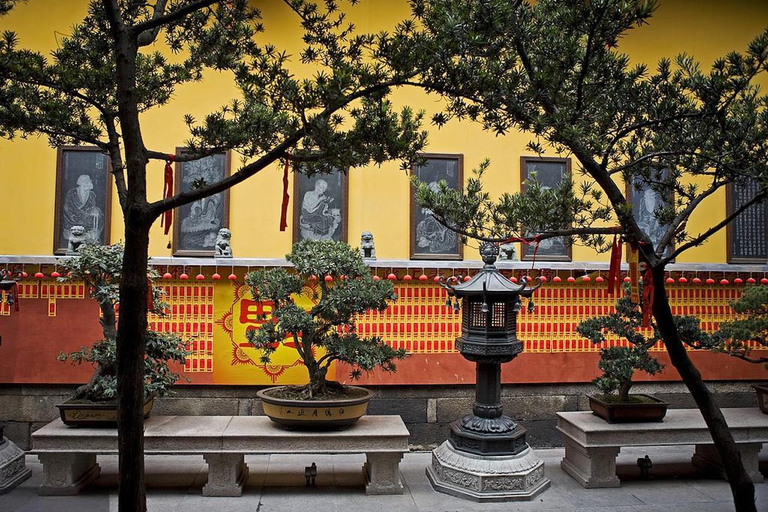 Shanghai: 4h Private City Tour, EN DE FR IT RU Local Guide Shanghai: 4h Private Tour with Italian Local Guide