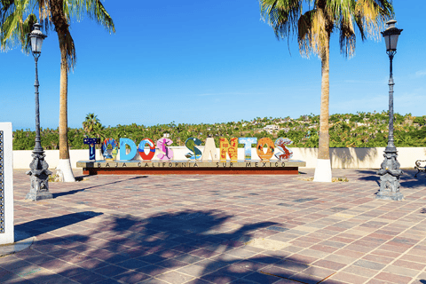 La Paz: Todos Santos Day Trip