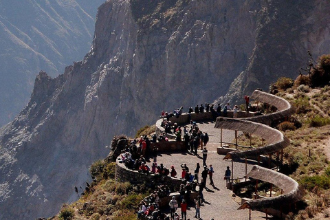 Excursión de 1 día al Cañón del Colca + Aguas Termales