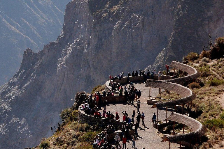 Excursión de 1 día al Cañón del Colca + Aguas Termales