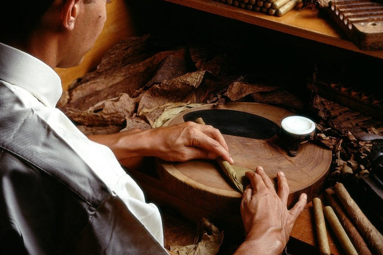 Punta Cana: Cigar Factory Visit and Local Shopping Tour Punta Cana: Tour of the Cigar Factory