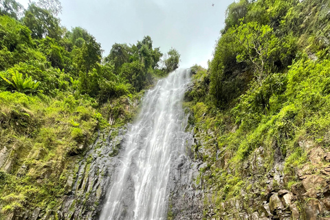 Arusha |Moshi: tour del villaggio Maasai, cascate e caffèArusha: villaggio Masai, cascata Materuni e tour del caffè