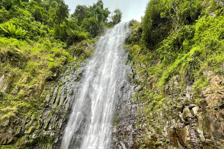 Arusha |Moshi: tour del villaggio Maasai, cascate e caffèArusha: villaggio Masai, cascata Materuni e tour del caffè