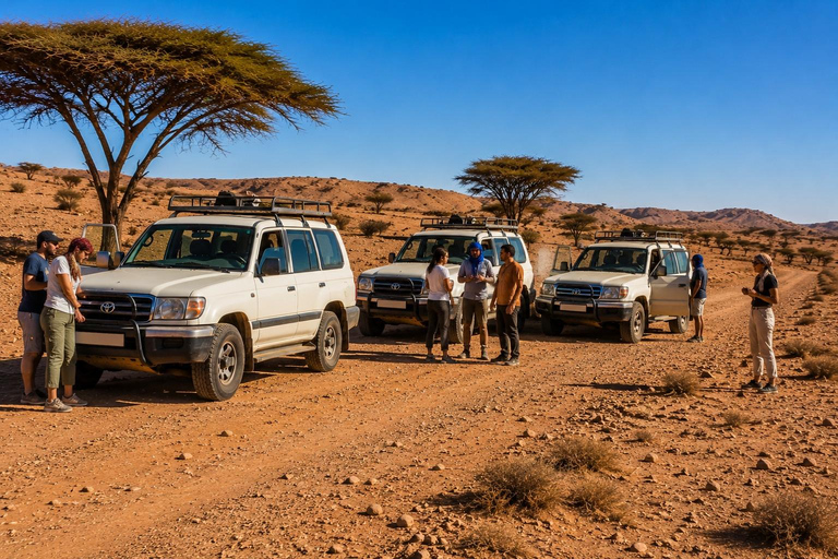Agadir: Mini Sahara 4x4 Tour with Lunch and Pickup