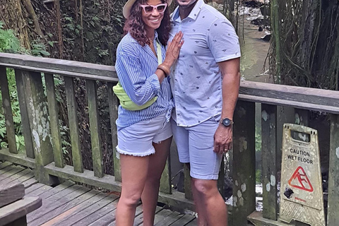 乌布猴林、梯田、秋千、寺庙和瀑布乌布猴林、水稻梯田、秋千、寺庙和瀑布