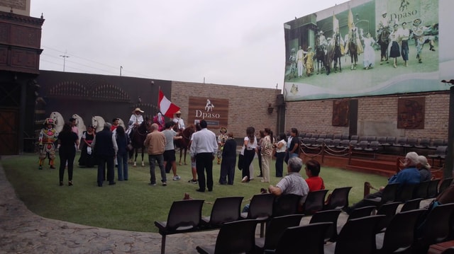 Lima: Buffet Lunch and Peruvian Paso Horse Show