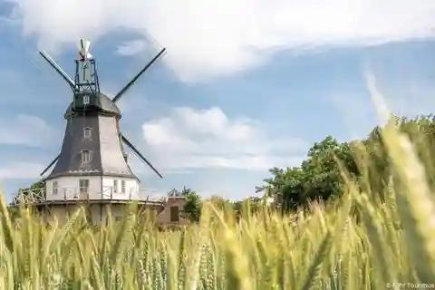 Nordstrand: Daytrip by boat to Föhr