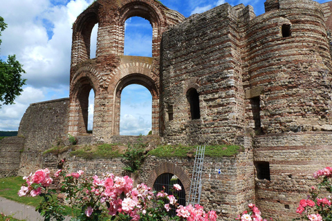 Destaques do city tour guiado particular em Trier