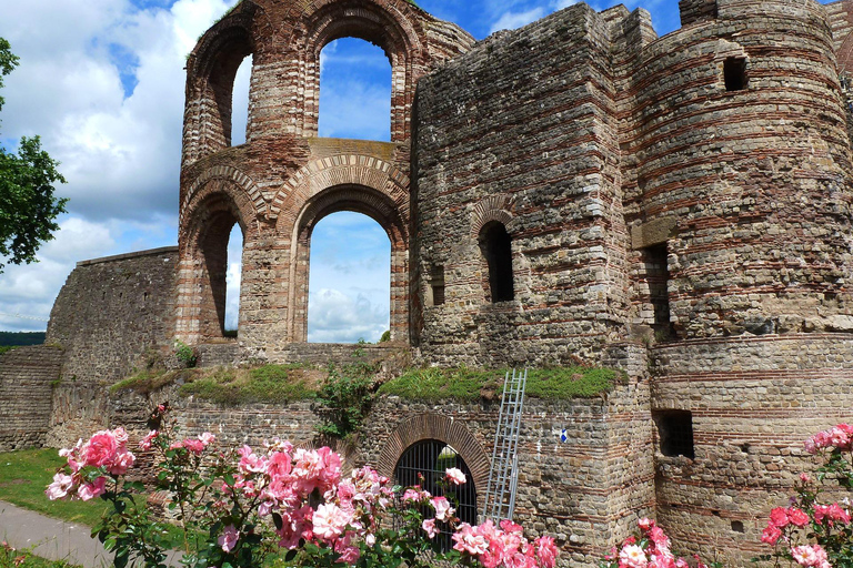 Trier private guided city tour highlights