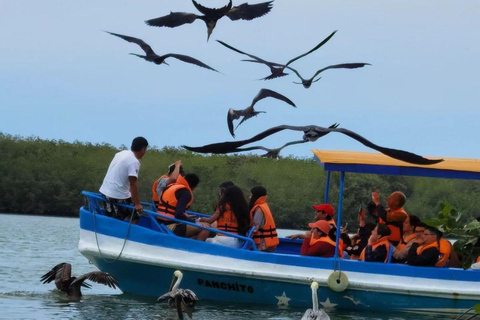 Mangrove Mysteries - Puerto Pizarro Tour
