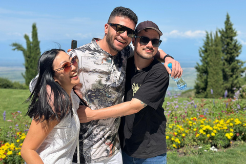 Tbilissi : Visite privée des vignobles de Kakheti avec déjeuner en famille