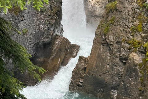 Moraine, Lake Louise, Emerald Lake, Johnston Canyon i BanffTour