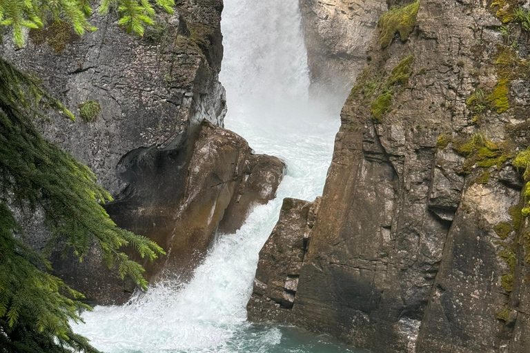 Moraine, Lake Louise, Emerald Lake, Johnston Canyon i BanffTour