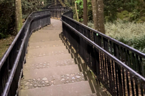 Medellín from the Heights: Private Night Panoramic Tour Medellín from the Heights: Private Night Panoramic Tour