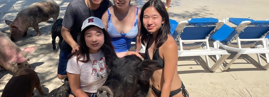 Circuit dans les îles, nage avec les tortues et Bahamas Mama à volonté