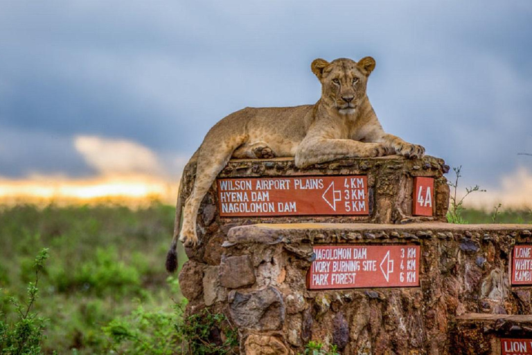 Meio dia Parque Nacional de Nairóbi, Karen Blixen, Centro de Girafas